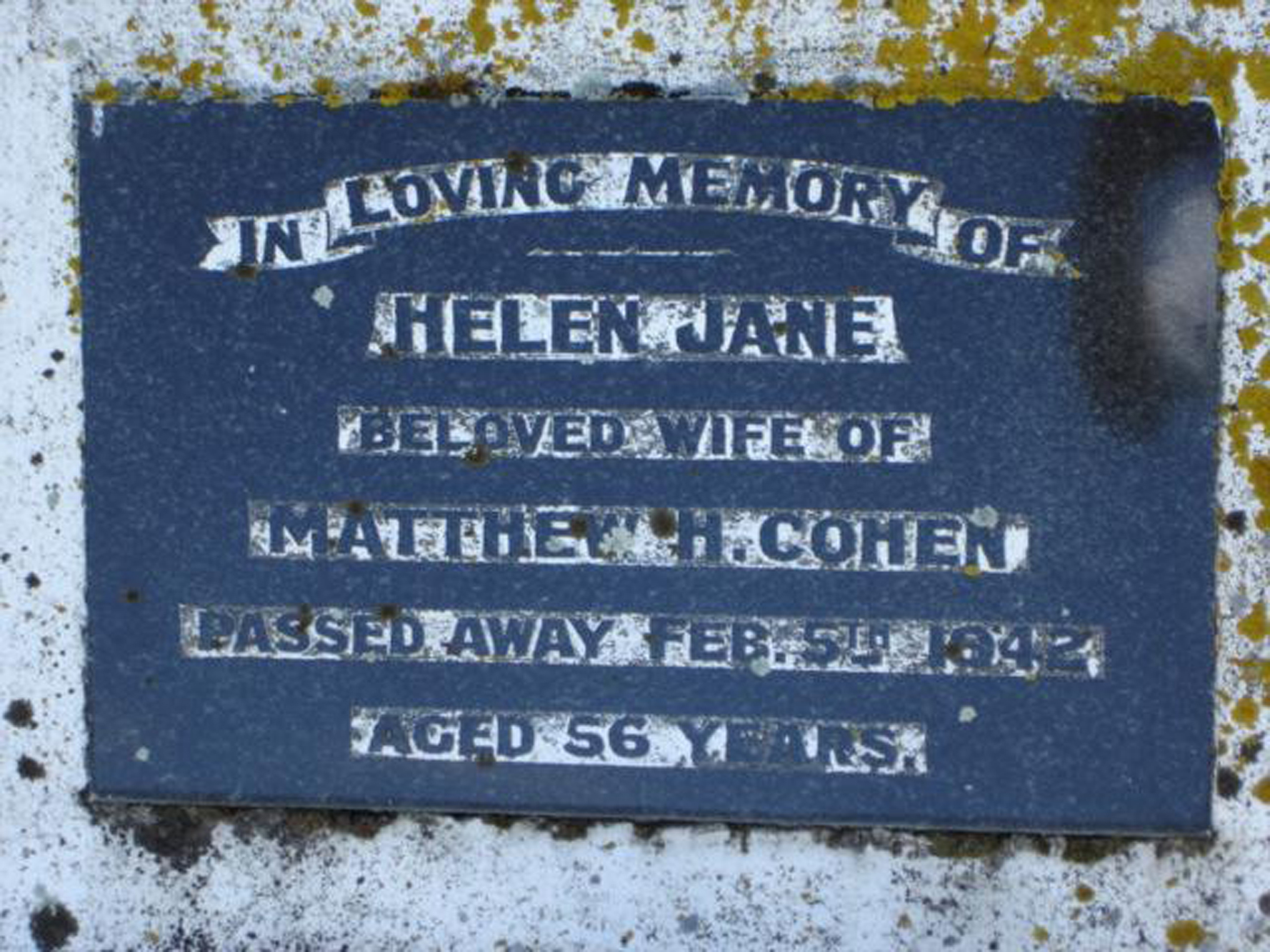 Photo of headstones/Helen Jane Ferguson died 1942 hdstn Hastings